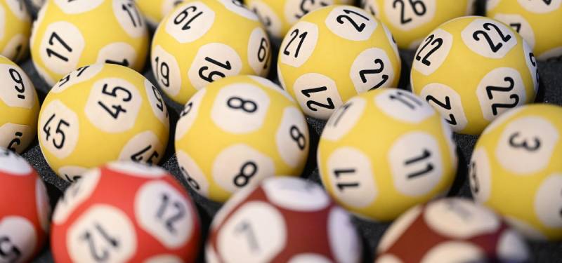 Cách soi lô kẹp nuôi 3 ngày hiệu quả