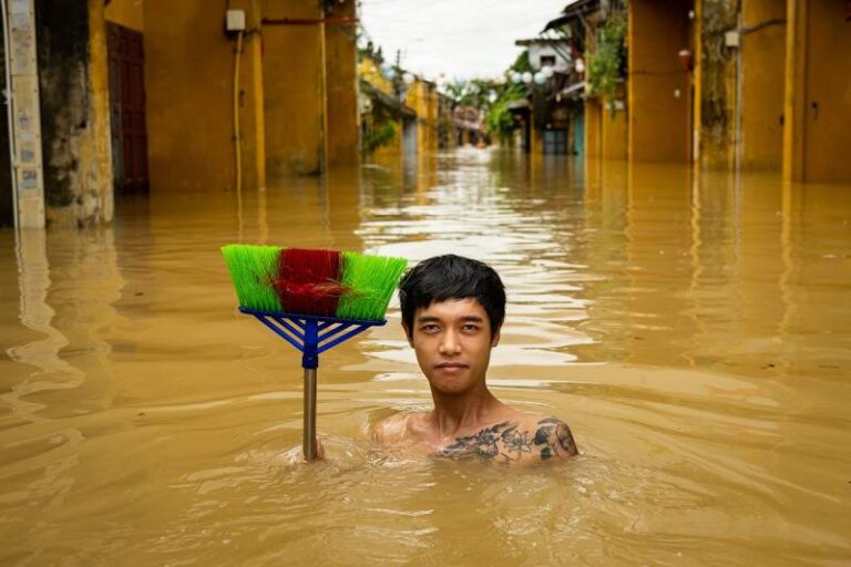 Mo Thay Lu Lut Danh Con Gi Diem Bao Ve Tham Hoa Thien Tai