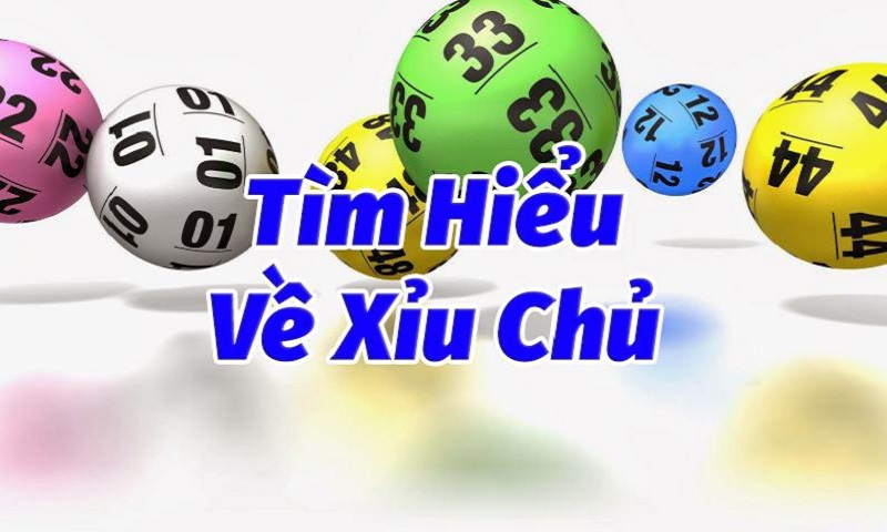 Xỉu chủ là gì? 